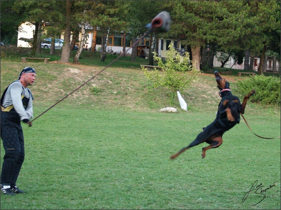 Summer training camp - Jelenec - 2007